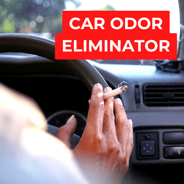 Wipe Out | Ultimate Car Odor Eliminator (Service Upgrade) Detail Doctor's