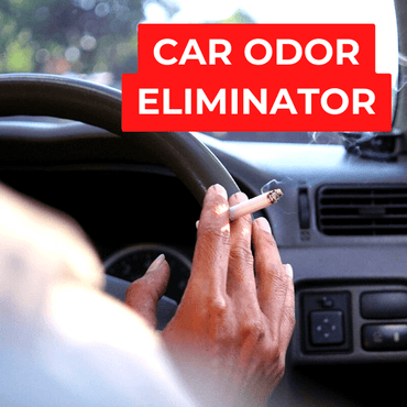 Wipe Out | Ultimate Car Odor Eliminator (Service Upgrade) Detail Doctor's